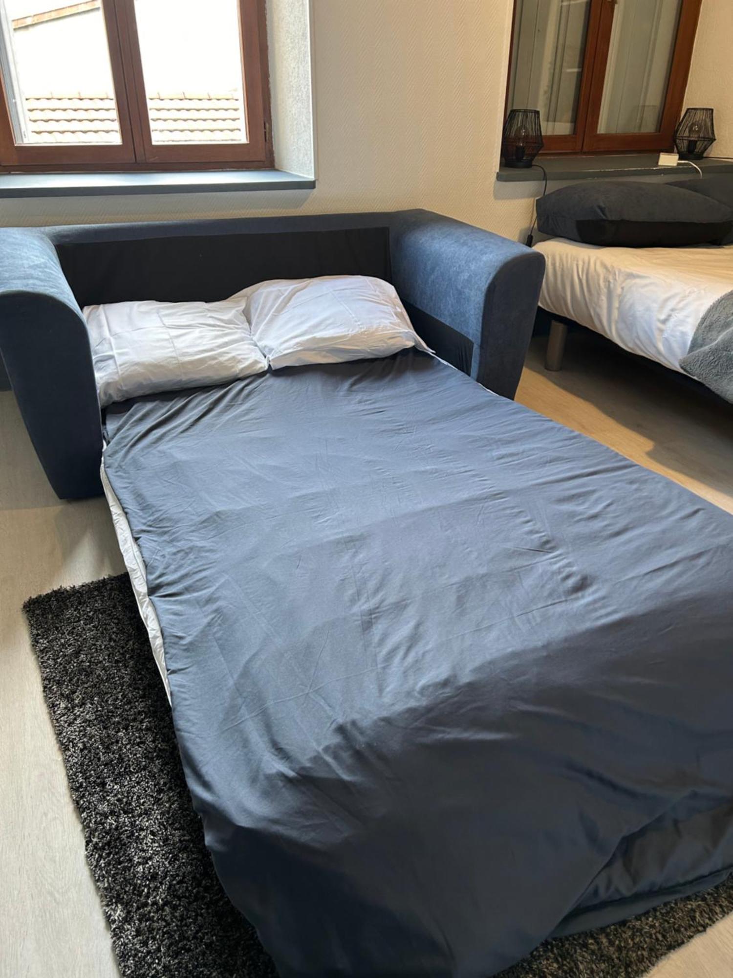 Studio De 30M² Hypercentre Tres Calme Montbéliard Exterior foto